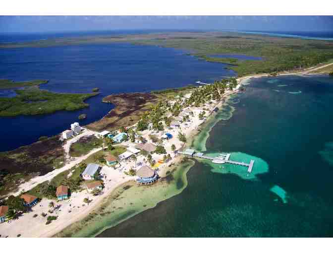 1 TRAVEL: Belize (7 nights, Turneffe Atoll, Blackbirds Caye, Diving, Meals) - Photo 6