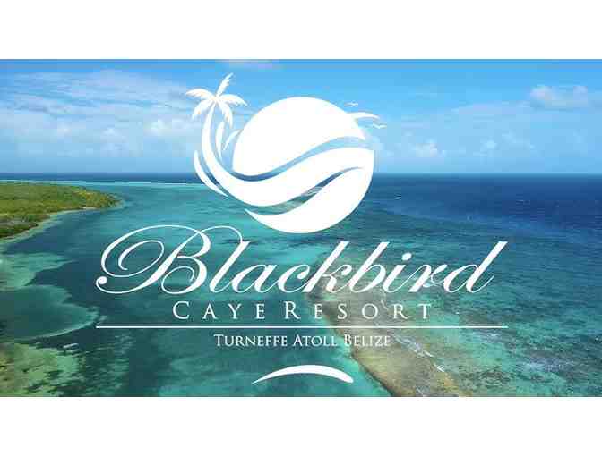 1 TRAVEL: Belize (7 nights, Turneffe Atoll, Blackbirds Caye, Diving, Meals) - Photo 1